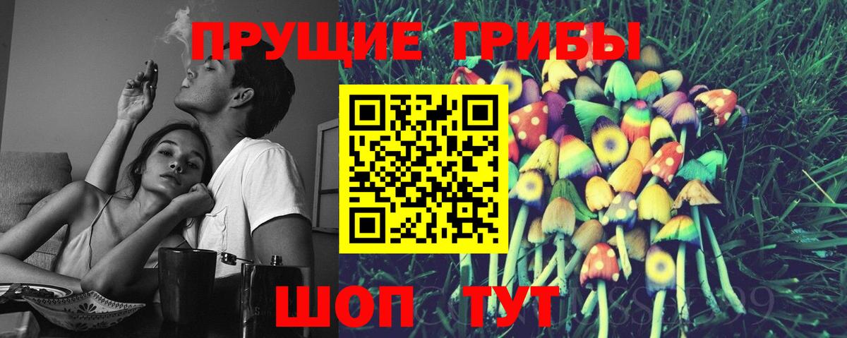 Псилоцибиновые грибы мухоморы Дубна
