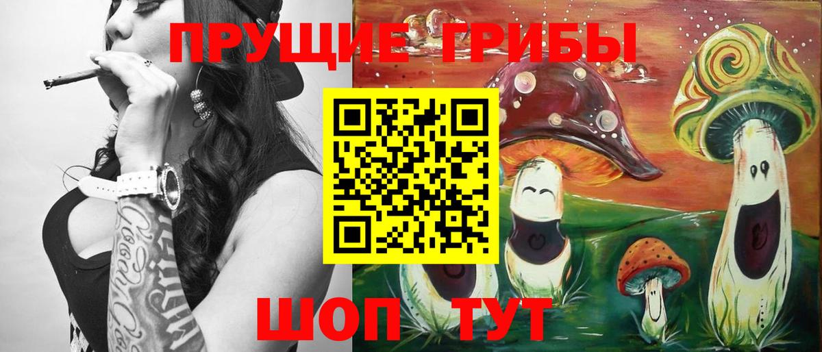 Дубна  Псилоцибиновые грибы Psilocybe  Вход с VPN 
